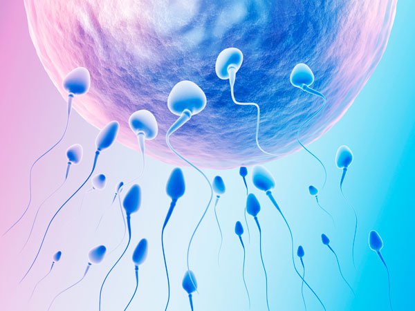Những điều cần biết về lọc rửa tinh trùng bơm vào buồng tử cung (IUI) |  Vinmec