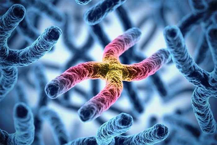 ADN là thứ giải thích cho toàn bộ những đặc điểm sinh học độc nhất của bạn.