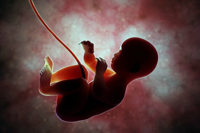 Những loại quả các mẹ bầu nên tránh trong 3 tháng đầu thai kỳ vì vô cùng nguy hiểm cho thai nhi - Ảnh 1.