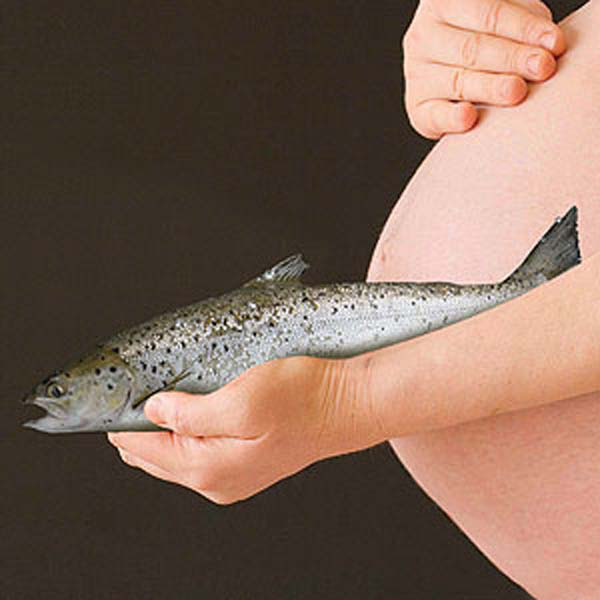 Mẹ bầu và cách ăn thủy hải sản hợp lý 1