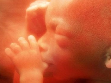 Quá trình phát triển của thai nhi: 5 giác quan