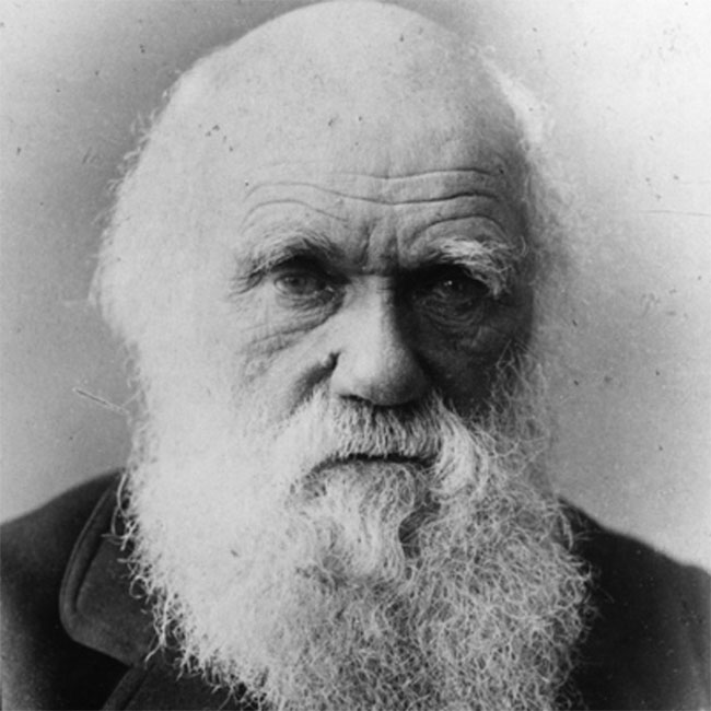 Charles Darwin thích quan sát cuộc sống của muôn loài.
