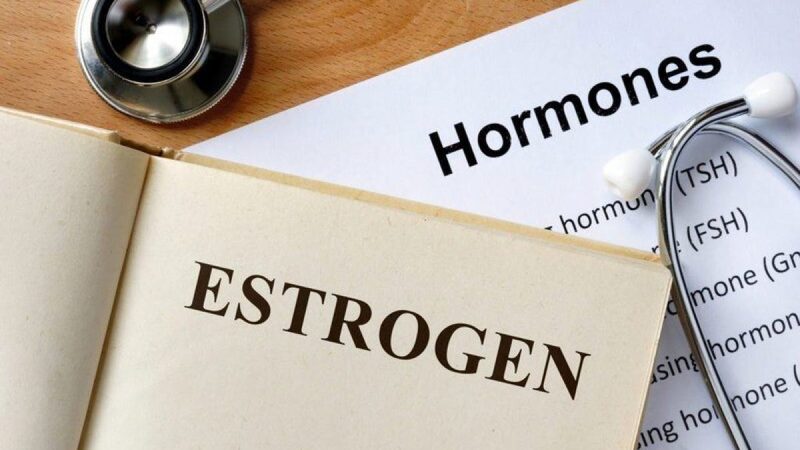 Lý do phụ nữ hay bị u xơ tử cung được cho do estrogen tăng cao
