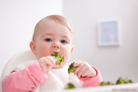 Dinh dưỡng cho bé – Nuôi bé từ 7-9 tháng