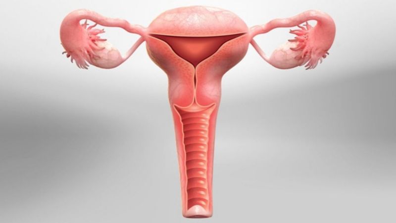 Ảnh hưởng của phẫu thuật cắt tử cung