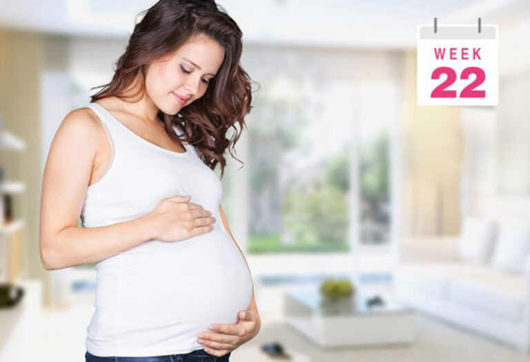 Khám thai tuần 22 gồm những gì – Vì sao không nên bỏ qua mốc khám này?