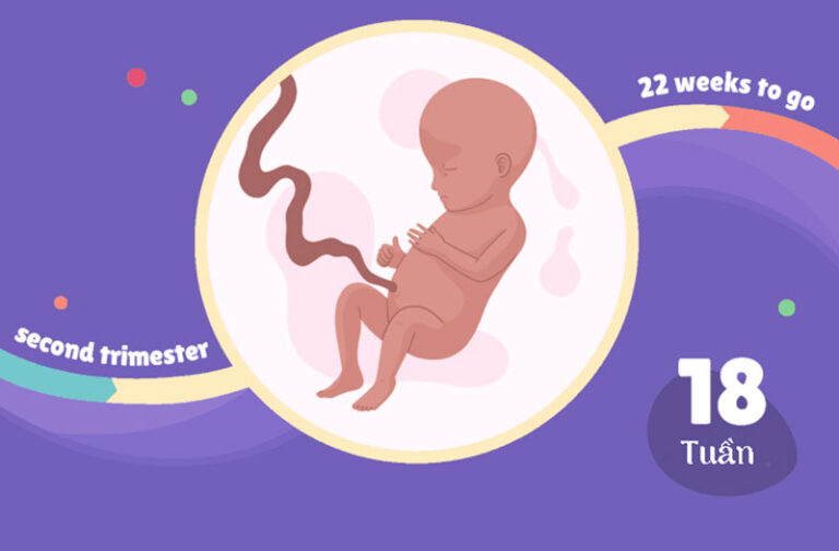 Sự phát triển của thai 18 tuần và những thay đổi trên cơ thể thai phụ